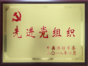 濰坊市先進(jìn)黨組織